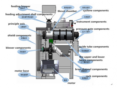 Oats Flakes Production Line / 4