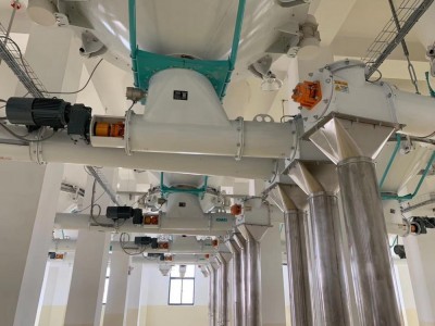 100TPD MAIZE FLOUR MACHINE / 4