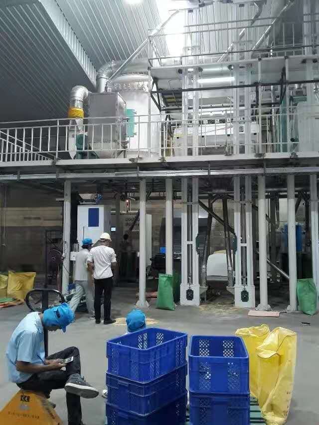 200TPD Millet Machine