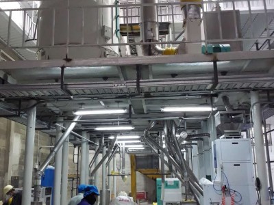 Sesame processing plant