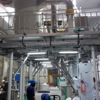 Sesame processing plant