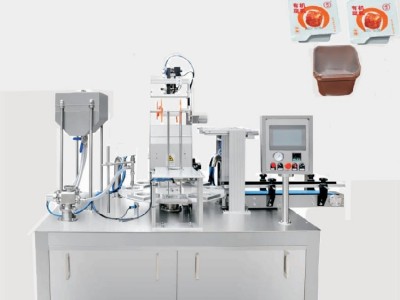 Full automatic rotary table filling vacuum packaging machine / 2