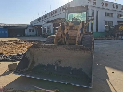 Loader / forklift / 2