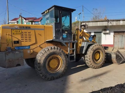 Loader / forklift / 3