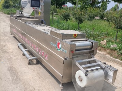 Automatic 420 type stretch film vacuum packaging machine / 3
