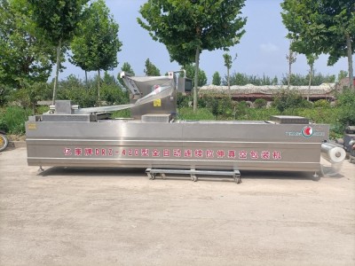 Automatic 420 type stretch film vacuum packaging machine / 5