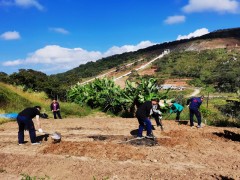 The African project site is used to reclaim wasteland and grow vegetables for the war epidemic