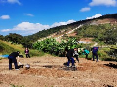 The African project site is used to reclaim wasteland and grow vegetables for the war epidemic