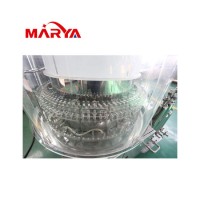 Marya Automatic Glass Ampoule Washing Sterilization Tunnel Filling Hot-Sealing Machine with CE and I