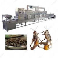 Black Soldier Fly Larvae Cricket Grasshopper Mealworm Insect Microwave Drying Sterilization Machine