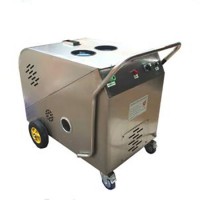 Electric Portable Powerful Steam Disinfection Machine for Cloth, Sofa, Carpet, Kitchen Cleaning, Ste