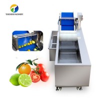 Industrial Ozone Sterilization Kitchen Appliance Fruit Vegetable Bubble Washing Machine
