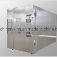 Automatic Ethylene Oxide Sterilizer Equipment Aetos Eo Gas Sterilizer for Sale