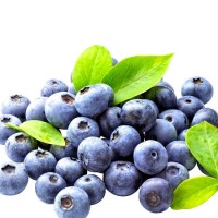 High Quality Fruit Juice Processing Blueberry juice processing machine