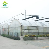 Agricultural Intelligent Sunlight Glass/ Polycarbonate/ Plastic Film Greenhouse with Cooling and Hea