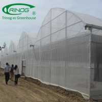 Agricultural Galvanized Steel frame Commercial Greenhouse for commercial farm