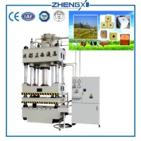 Animal Feed Briquetting Salt Block Press Machine 1000 Ton