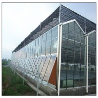 Steel Structure Vegetable Fruit Tomato/Cucumber/Lettuce Hydroponics Growing System Green Houses Mult