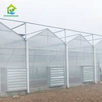 High Quality Transparent Aluminium and PC/Polycarbonate Agricultural Greenhouse