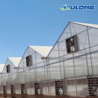 Hydroponics Growing System High Quality Agricultural Polycarbonate Greenhouse for Lettuce Garden Hum