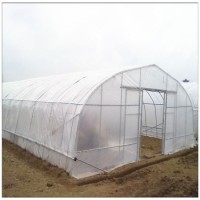 High Quality Steel Structure Agricultural/Commercial Tomato Cucumber Single/Multi-Span Film Greenhou