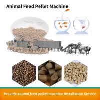 Automatic Floating Fish Feed Pellet Machine for Pet Food