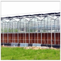 Best Selling Galvanized Steel Strucutre Green Houses Commercial/Farm/Garden/Agricultural/Vegetable T