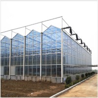 China Factory Directly Supply Tomato Lettuce Cucumber Strawberry Multi Span Greenhouses Galvanized C