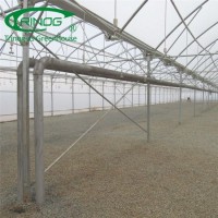 High Quality Economical Agricultural New Type Multi-Span Film Green House