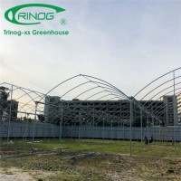 Hot Sale Agricultural Multi-Span Film Greenhouse with Shading System for Cultivation