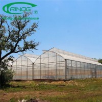 High Quality Multi-span Agricultural Cultivation Hydroponics System Film Greenhouse with Galvanized