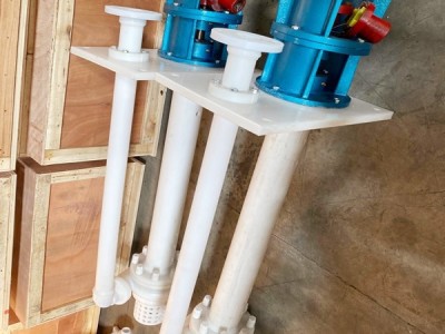 FYS fluoroplastic  pump / 2