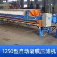 1250 automatic diaphragm filter press