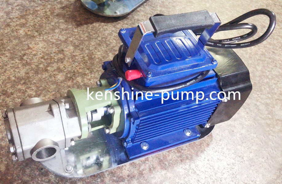 WCB portable gear oil pump