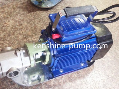 WCB portable gear oil pump