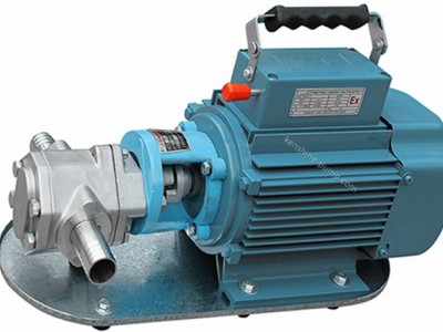 WCB portable gear oil pump / 2