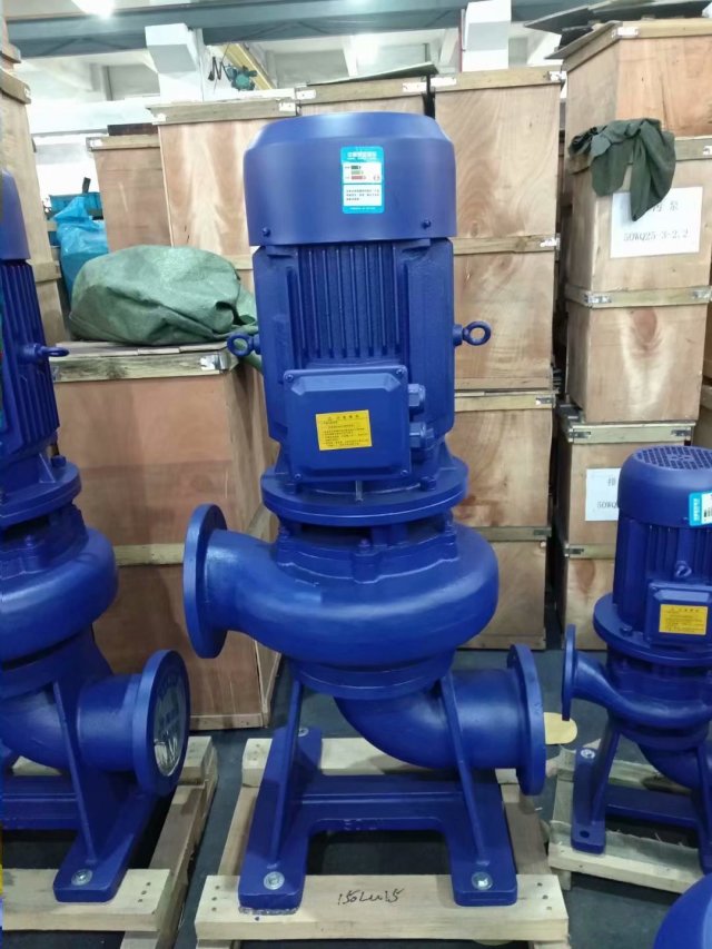 LW Vertical sewage pump