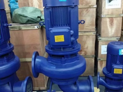 LW Vertical sewage pump