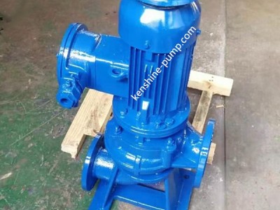 LW Vertical sewage pump / 2