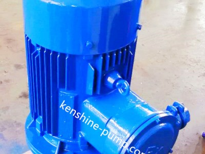 YG Vertical pipeline oil pump