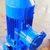 YG Vertical pipeline oil pump