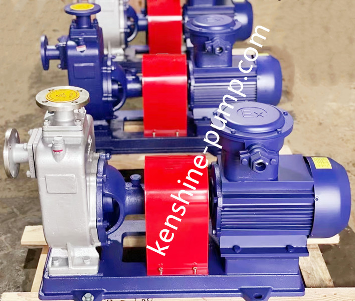 ZX Self priming pump