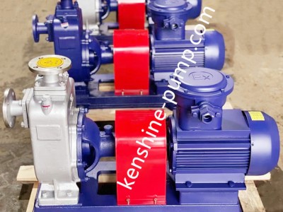 ZX Self priming pump