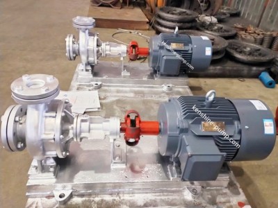 RY thermal oil pump / 2