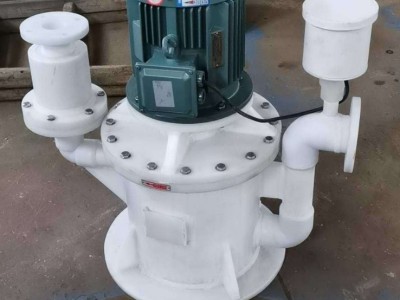 WFB vertical self-priming pump / 2