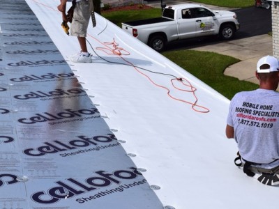 Self adhesive TPO roofing / 2