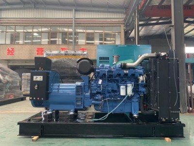 yuchai Diesel Generator / 3