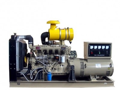 Weifang Diesel Generator / 4