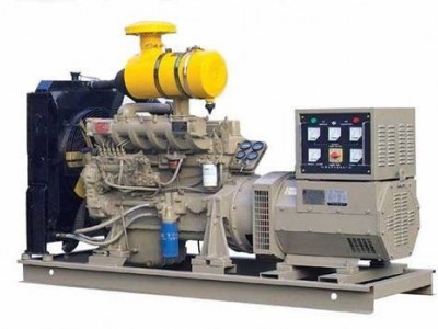 Weifang Diesel Generator / 3