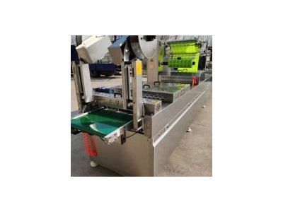 Stretch film vacuum packaging machine / 2
